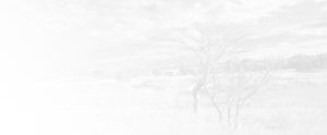 bg-gamme-equitable-size-2