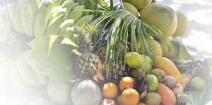 fruits-page-marque-ti-bio-les-arranges