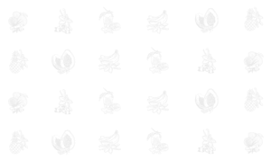 ti-bio-habillage-illustrations-gouts-rhum