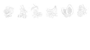 ti-bio-habillage-illustrations-gouts-rhum