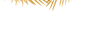 ti-bio-habillage-palm-rhum-gold