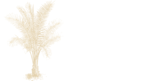 ti-bio-les-arranges-palm-tree-gold