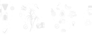 ti-bio-les-arranges-processus-chiffres-cles-bg-full