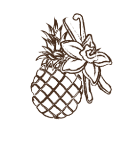 tibio-les-arranges-ananas-vanille