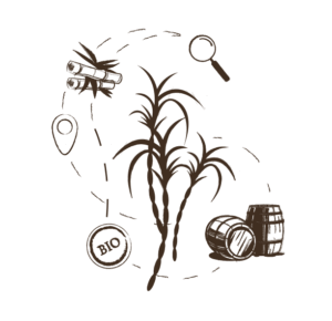 tibio-les-arranges-illu-selection-rhum